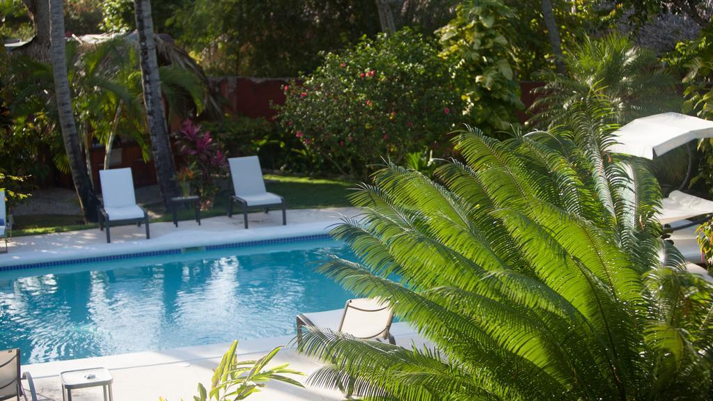 Eva Luna Villas Las Terrenas Εξωτερικό φωτογραφία